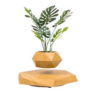 Gravity-Defying Wooden Planter Levitates and Rotating Pot Perfect Unique Gift-1