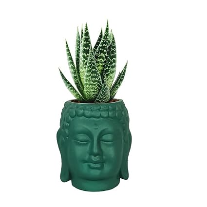 Small Buddha 3.5" Ceramic Pots for Indoor Planters, Flower Pots, Succulent - 0