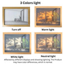 3D LED Light Up Wall Art Light Painting Luminous Light Painting for Wall Decor 23*16*5 cm-3