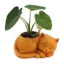 3D Sleeping for Cat Resin Flower Pot Succulents Bonsai Cactus Plants-4