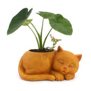 3D Sleeping for Cat Resin Flower Pot Succulents Bonsai Cactus Plants-1