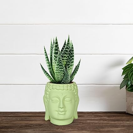 Small Buddha 3.5" Ceramic Pots for Indoor Planters, Flower Pots, Succulent - 0