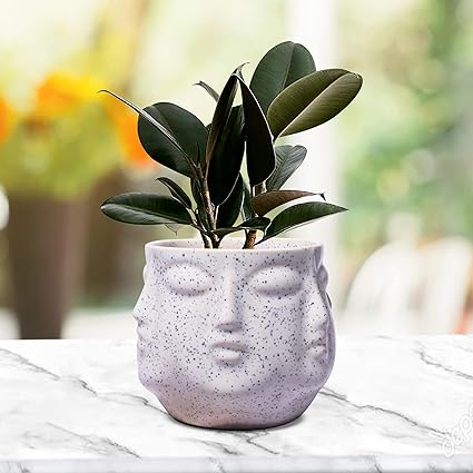 Face White Ceramic Pots for Indoor Plants, Planters Succulent (H - 10 X D - 10 cm) - 0