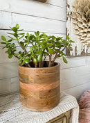 Large Mango Wood Cachepot for Plants-1