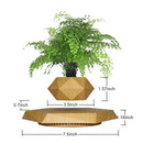 Gravity-Defying Wooden Planter Levitates and Rotating Pot Perfect Unique Gift-6