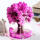 Sakura Cherry Blossom Tree-3