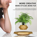 Gravity-Defying Wooden Planter Levitates and Rotating Pot Perfect Unique Gift-2