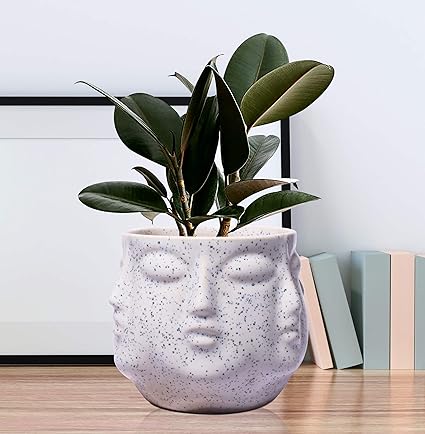 Face White Ceramic Pots for Indoor Plants, Planters Succulent (H - 10 X D - 10 cm)