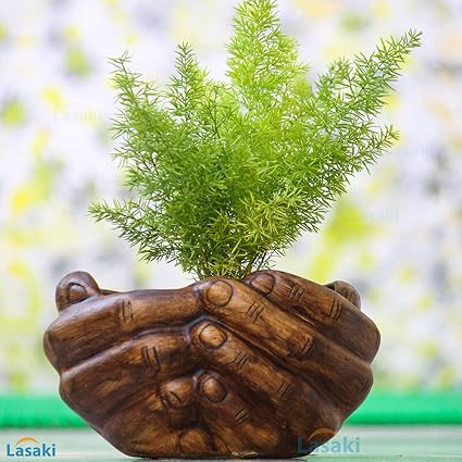 Buy brown Hand Ceramic Pots for Indoor Plants, Planters, Flower Pot Living Room Home Decor