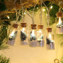 Christmas Wishing Bottle String Lights-1