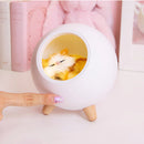 Cute Kitten House Decorative Night Light-6