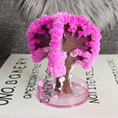 Sakura Cherry Blossom Tree-8