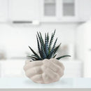 Hand Ceramic Pots for Indoor Plants, Planters, Flower Pot Living Room Home Decor-2