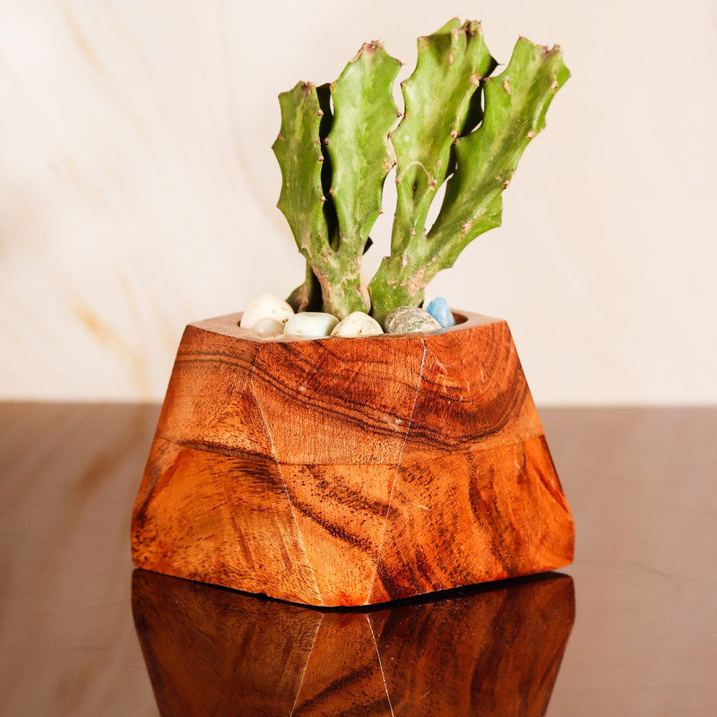 Diamond Wooden Planters, Pots for Indoor Plants and Flower pots