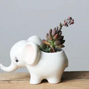 White Baby Elephant Ceramic Pot-4