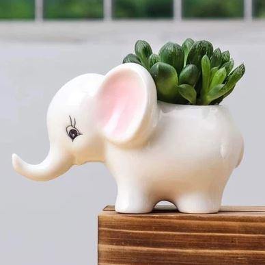 White Baby Elephant Ceramic Pot - 0