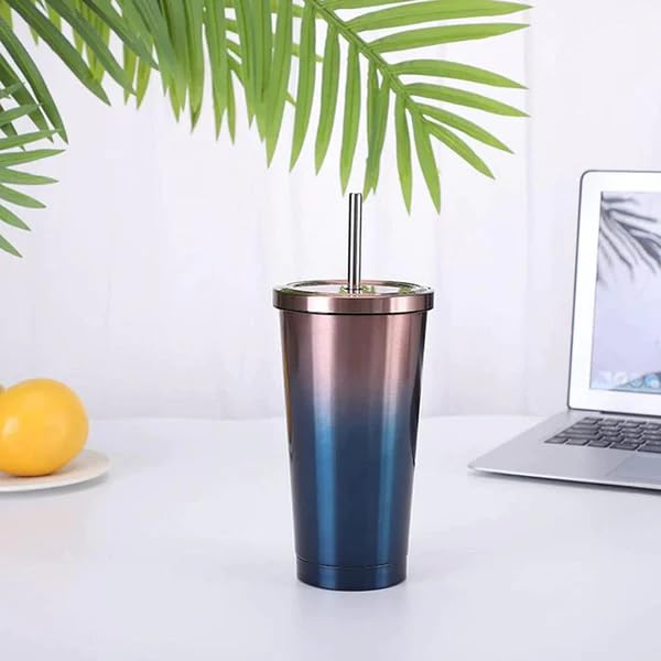 Double Wall Vacuum Insulated Tumbler with Steel Straw and Lid - 0