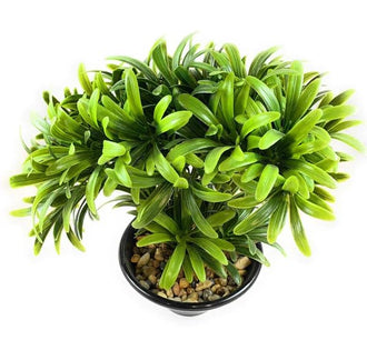 Bonsai Artificial Plant with Brown Pot (Green Color) - 0