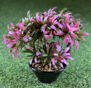 Bonsai Artificial Plant With Pvc Pot ( Pink Colour )-1